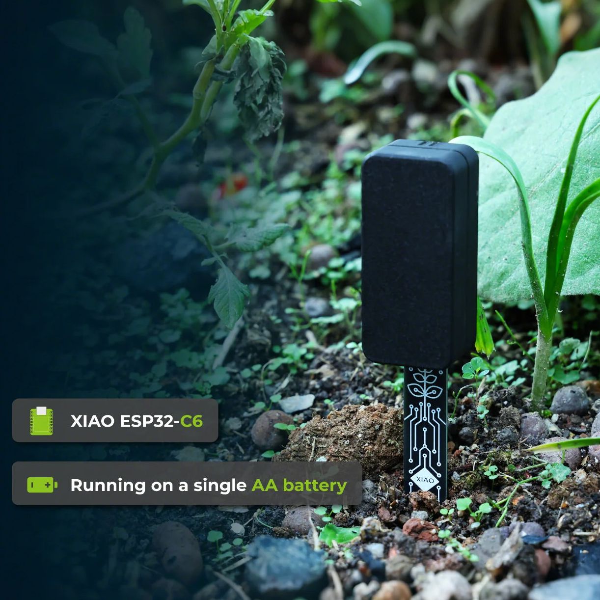 XIAO ESP32 C6 Soil Moisture Se - Home Automation Tutorial ulasan dan harga
