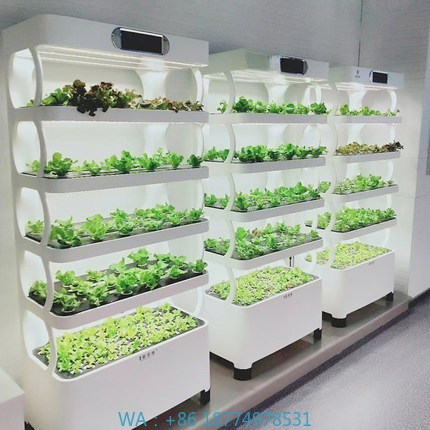 Hydroponic Automated Grow Syst - Home Automation System Diy ulasan dan harga